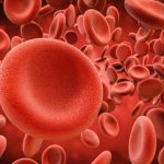 BLOOD AND BLOOD FORMING ORGANS